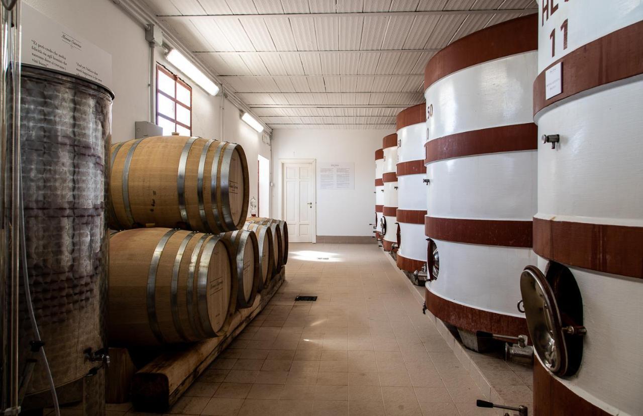 Monna Caterina Wine Resort Vinci Exterior photo